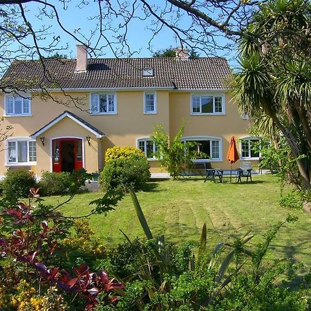 Ashe'S Accommodation Dingle Zewnętrze zdjęcie